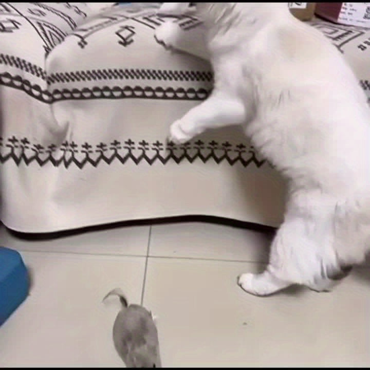 1pc Wind Up Plush Mouse Toy For Indoor Cats