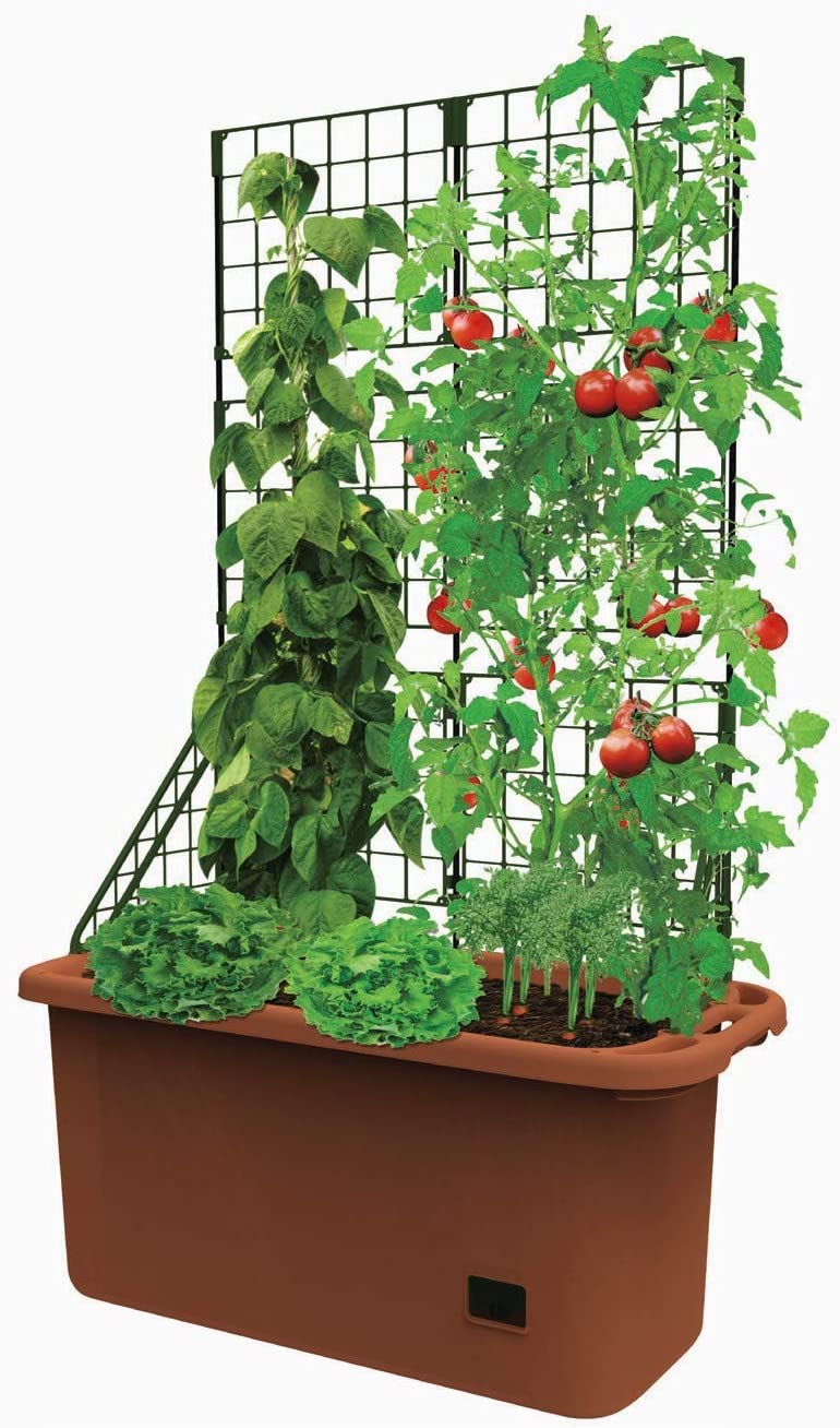 Self Watering Mobile Garden with Trellis